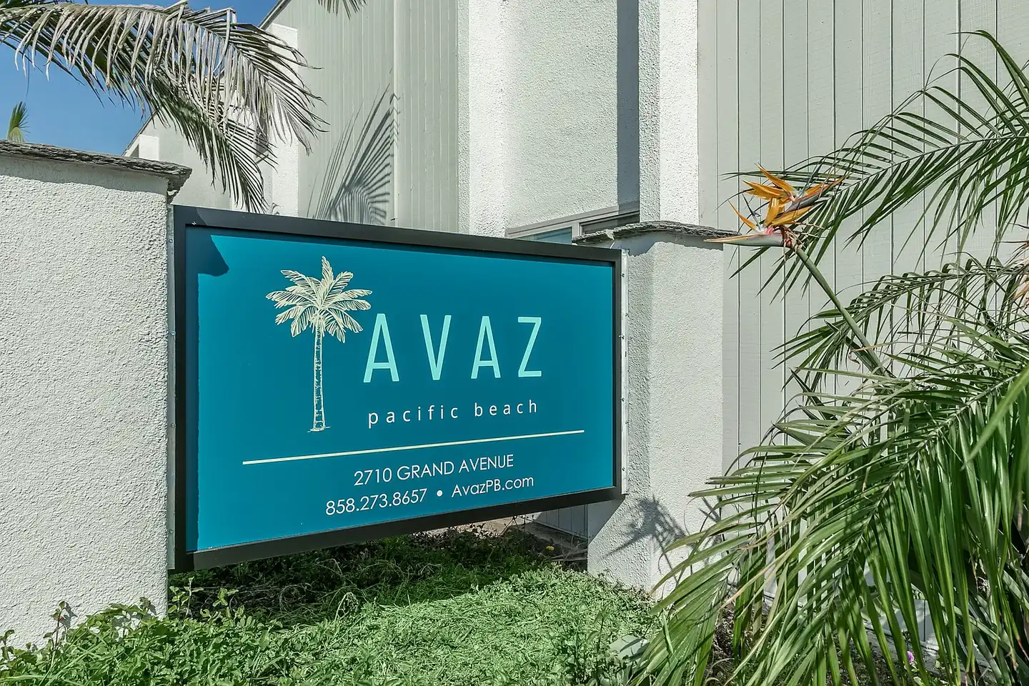 Avaz Pacific Beach photo 2