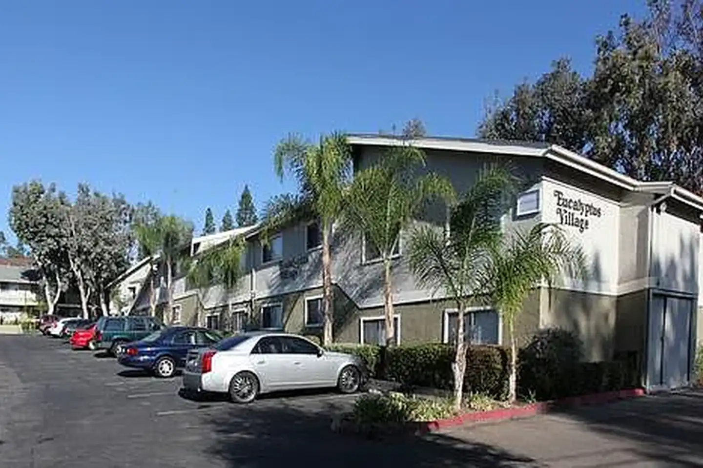 Eucalyptus Village photo 2