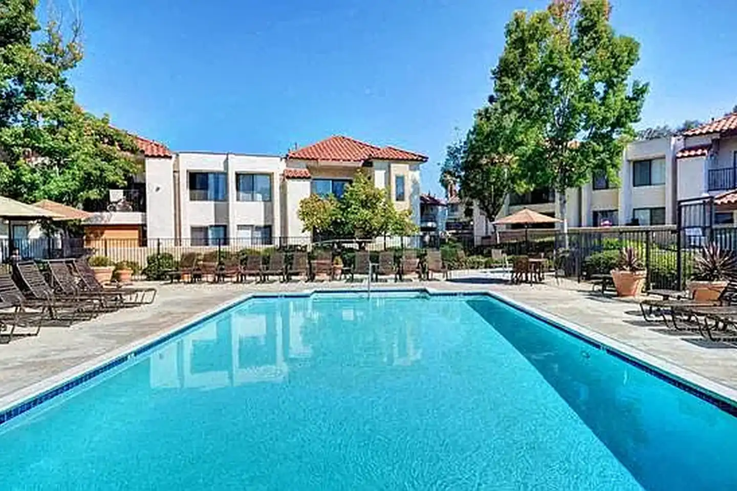 The Casas photo 2