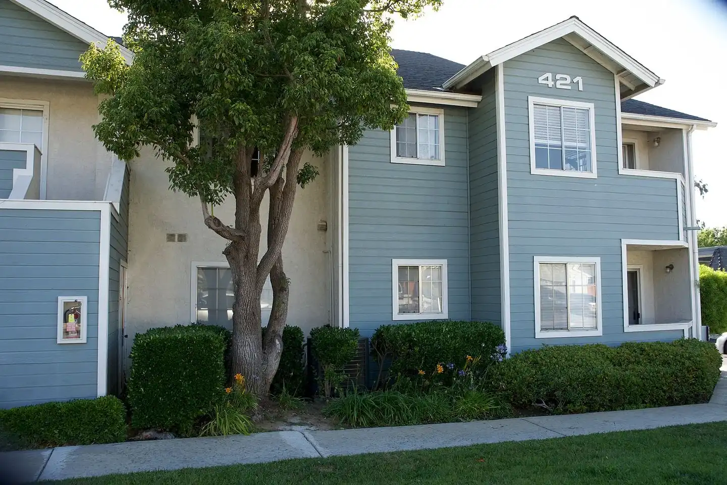 Reed and Brooke Apartments photo 5
