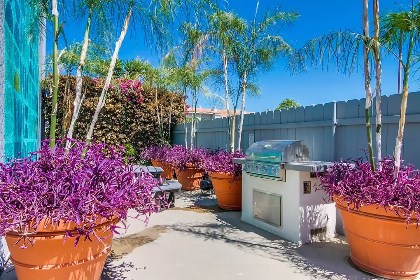 Pacific Palms photo 5