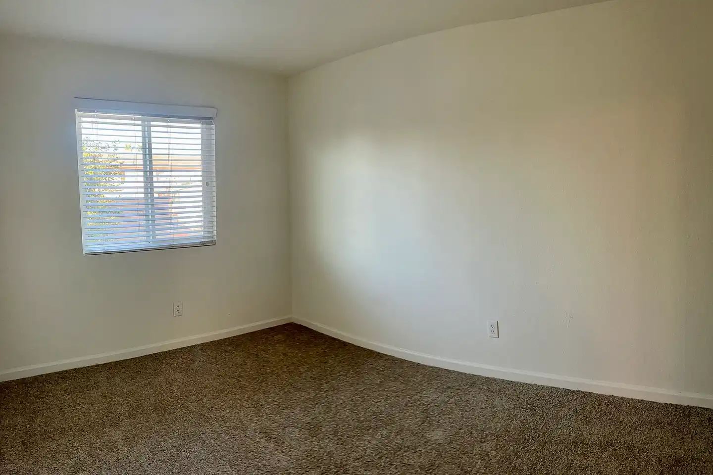 202 Willie James Jones Ave photo 5