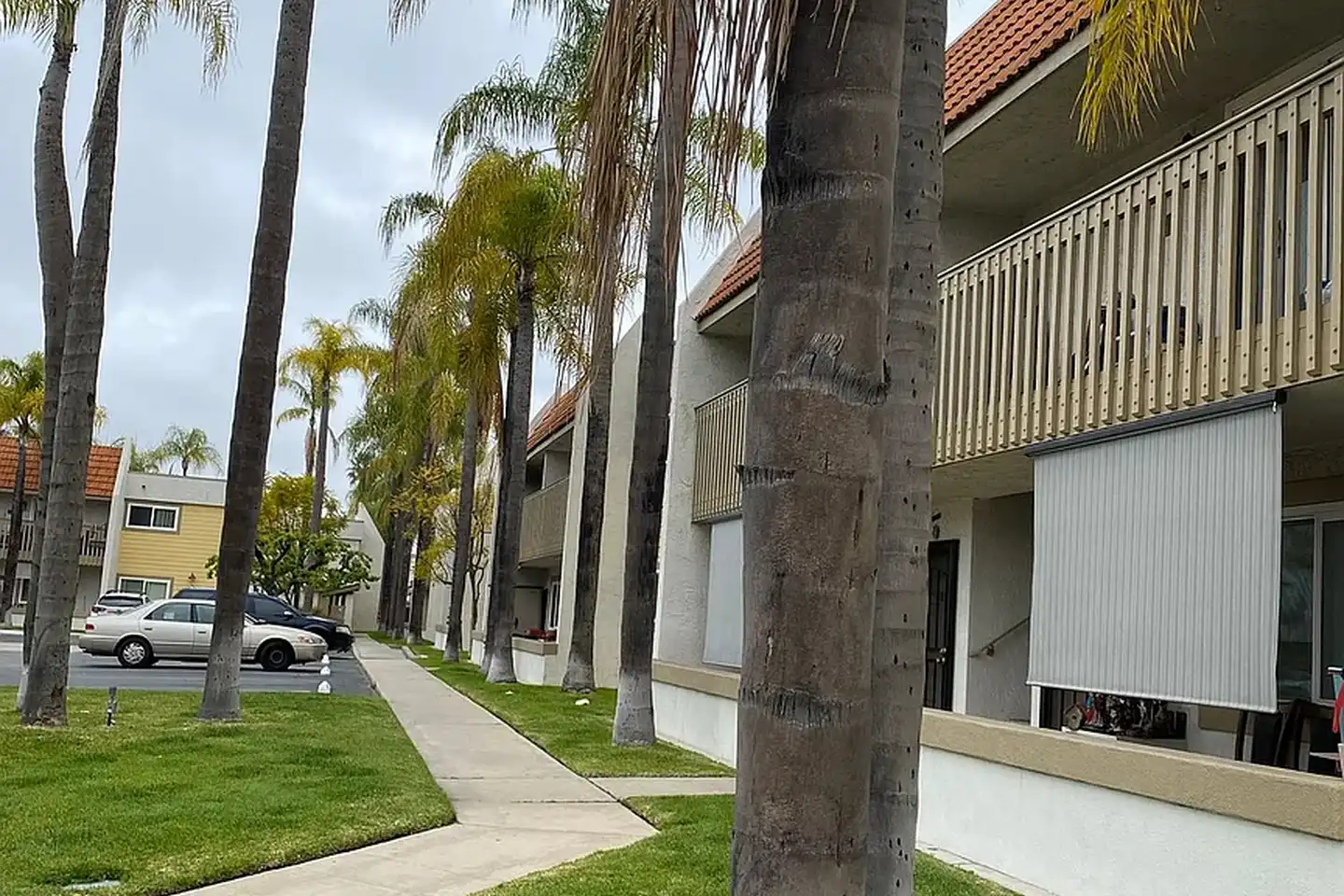 El Conquistador Apartments photo 5