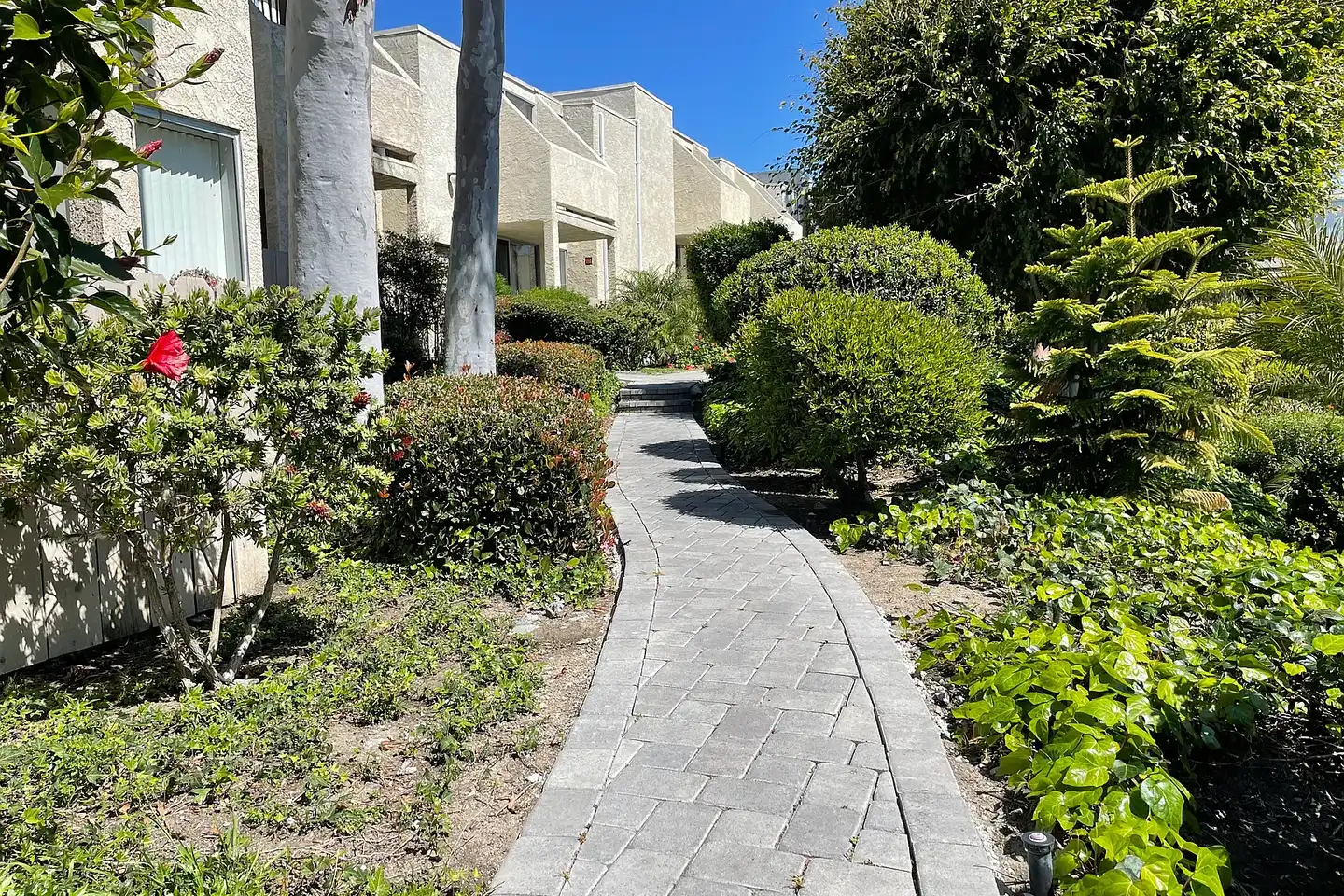 Westwood Village Apartments photo 4