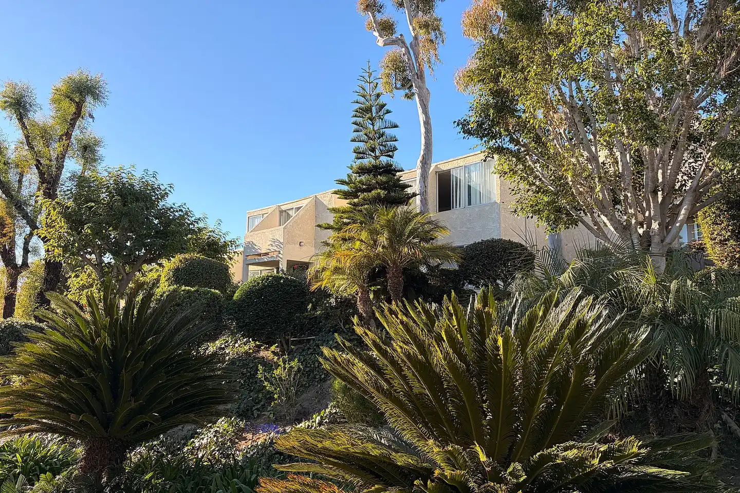 Westwood Village Apartments photo 2