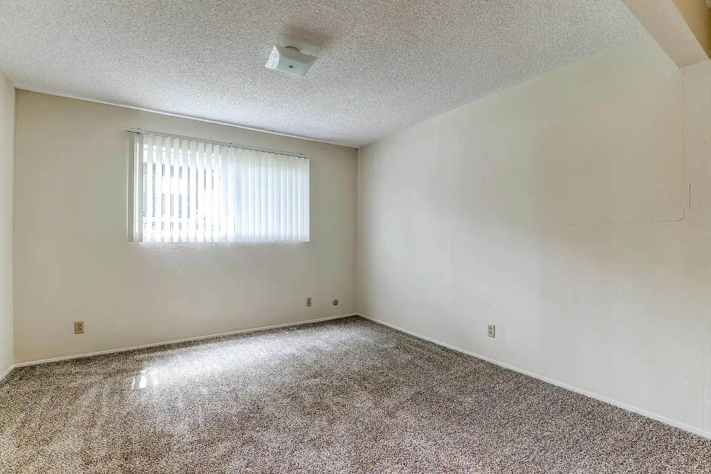1575 Oak Apartment Homes photo 3