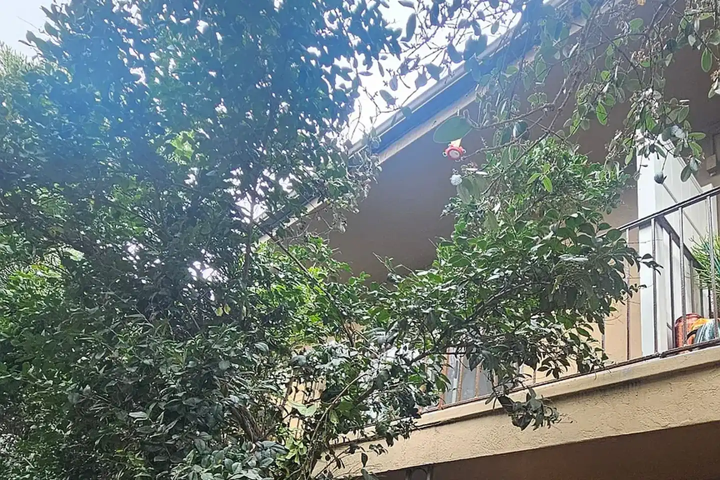 Grossmont Terrace Apartments photo 2