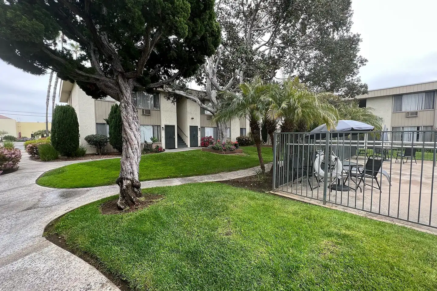 Ikaria Apartments photo 3