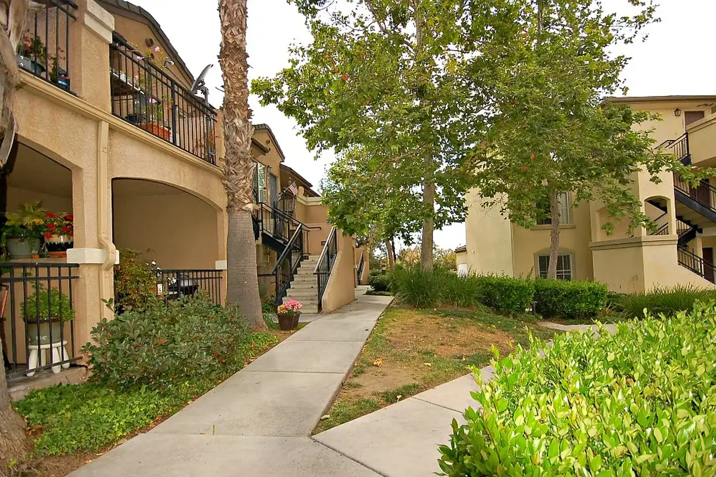 Sunny Creek Apts. photo 4