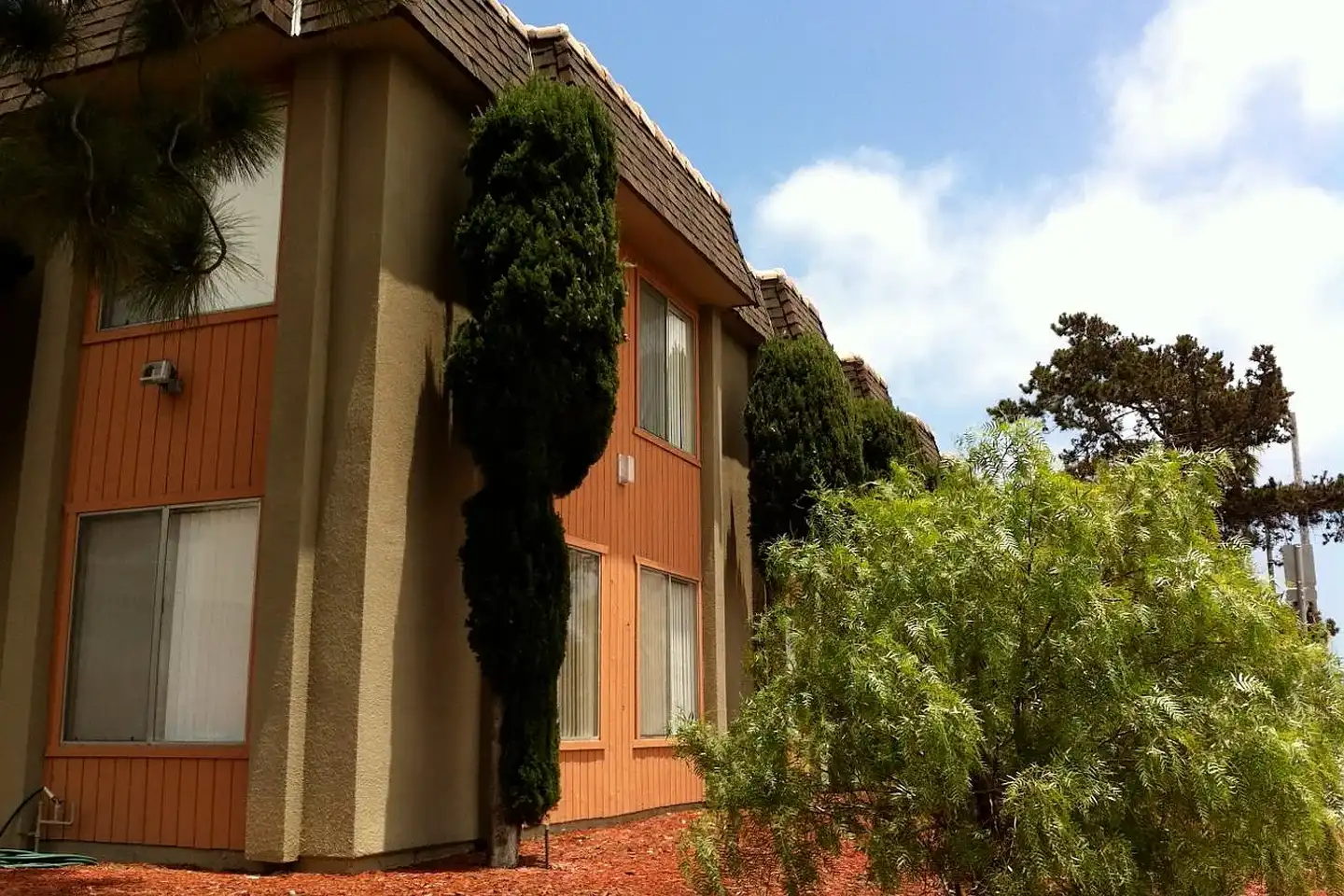 Mesa College Drive photo 3