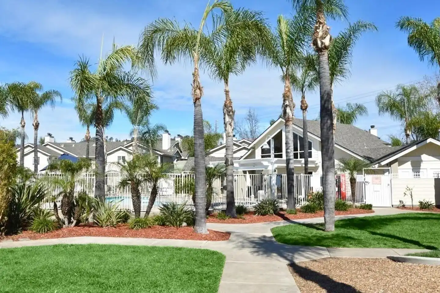 Citrus Court Apartments photo 5