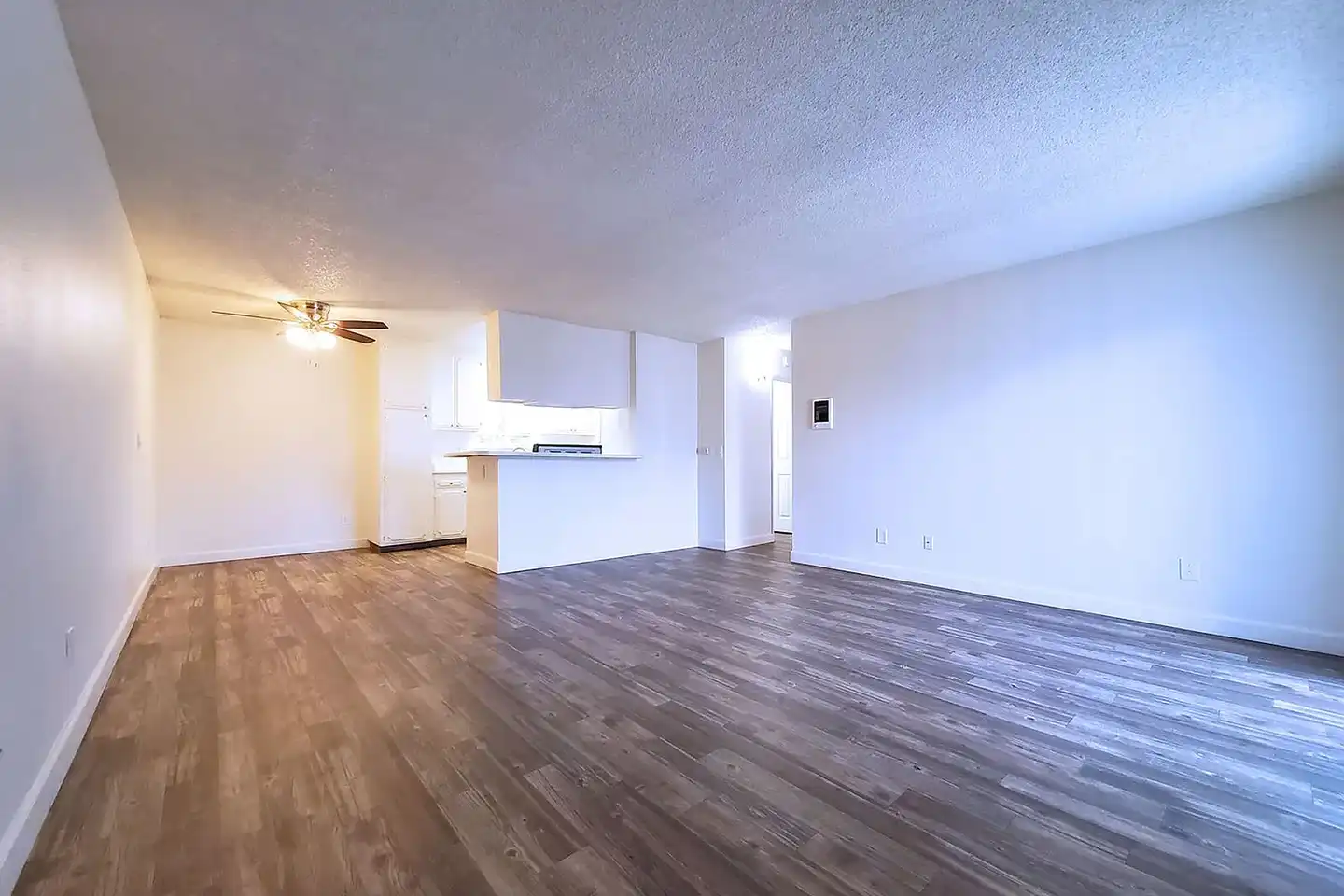 Sandalwood Apartments photo 4