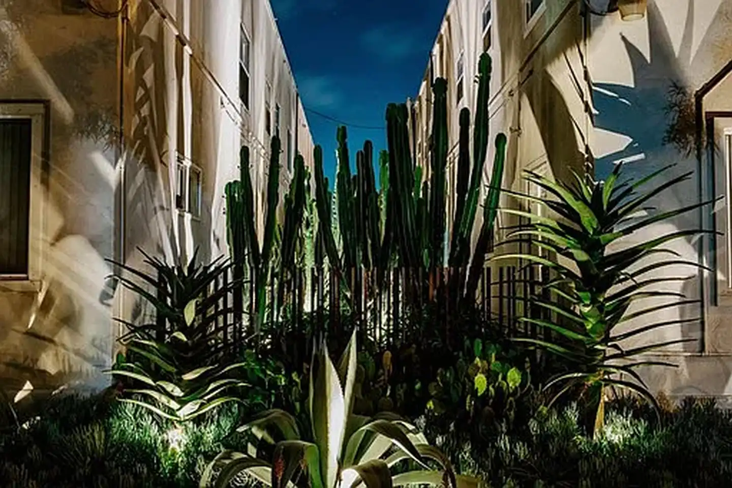 Mi Apartamento photo 5