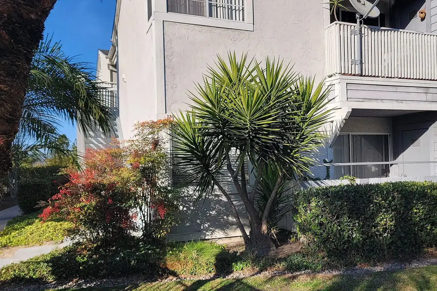 Presidio Villa Apartments photo 4