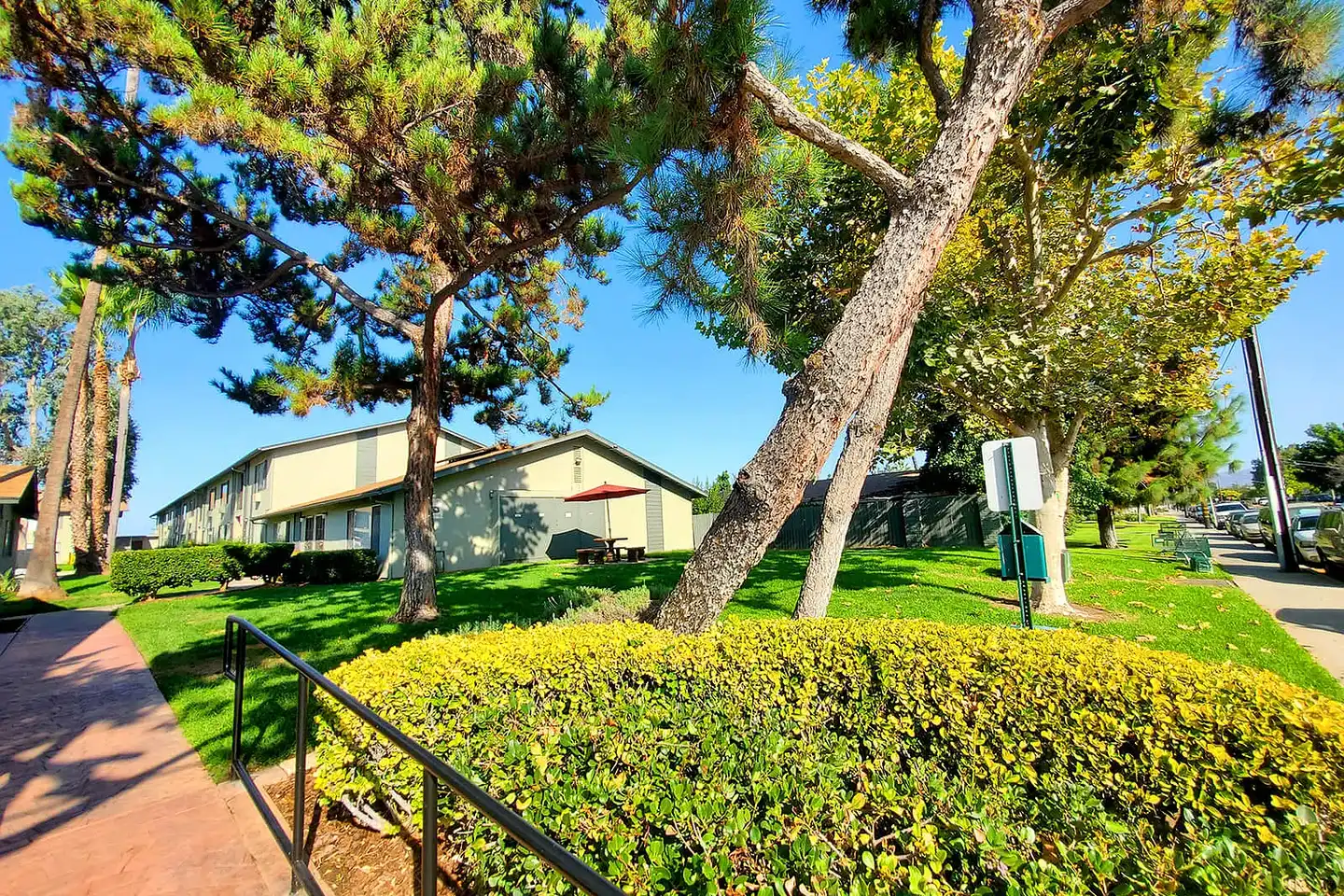 Anza Oaks Apartments photo 3