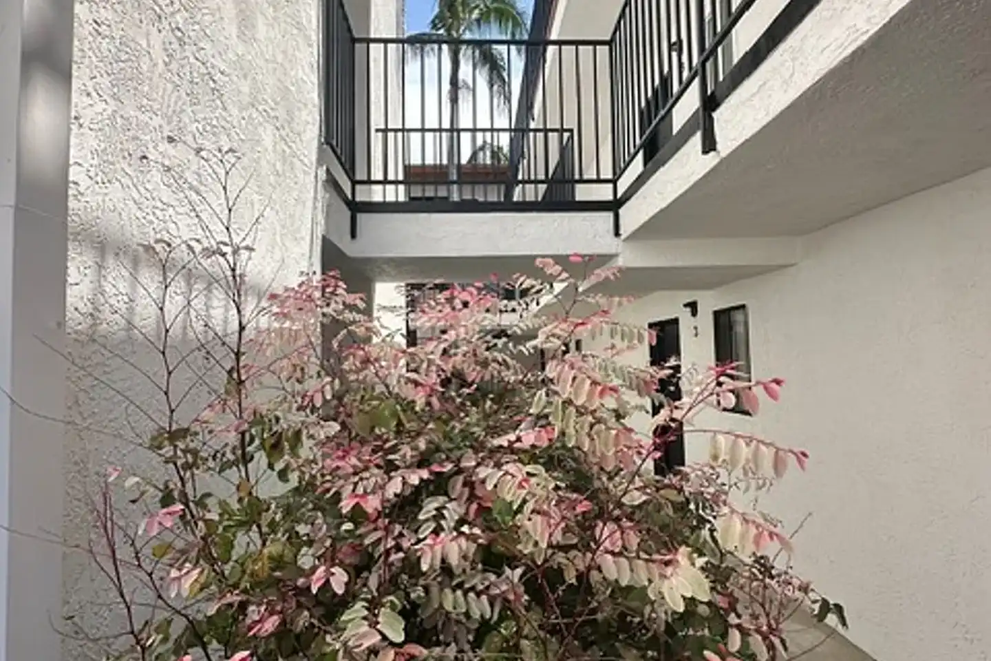Hillcrest Palms Apartments photo 2