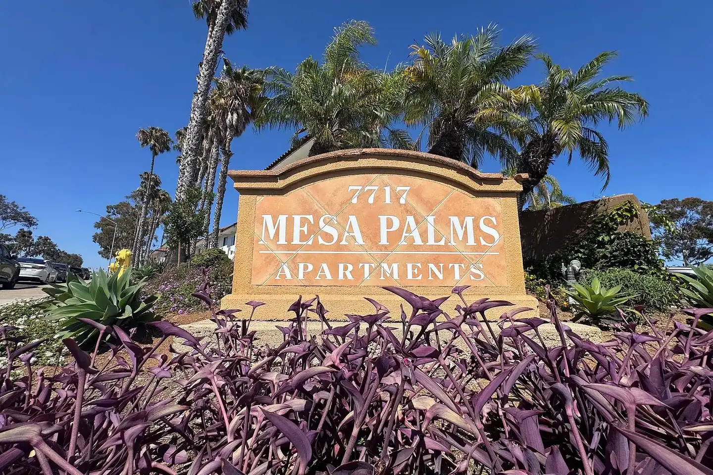 Mesa Palms Apartments photo 2