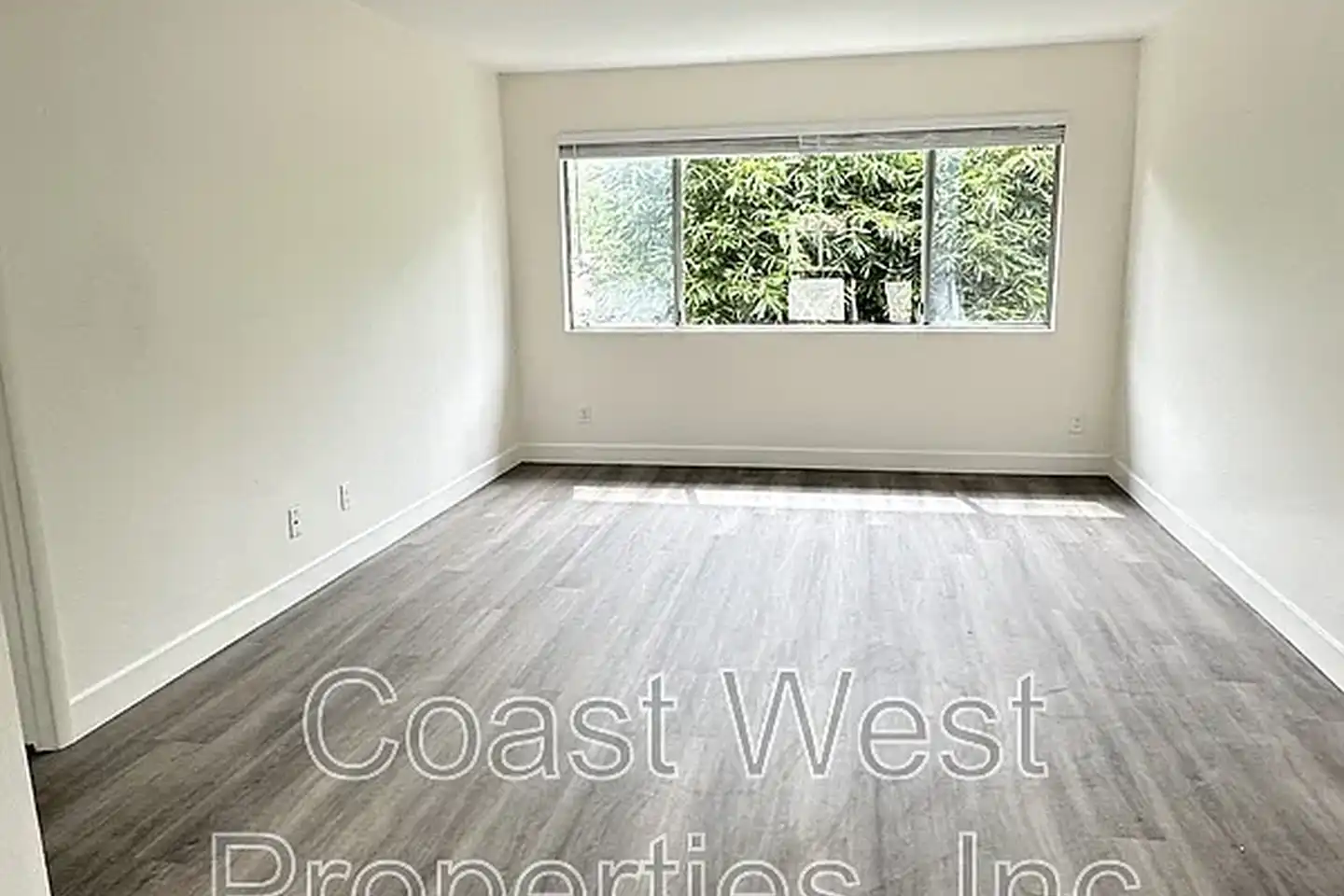 Sea Breeze photo 2