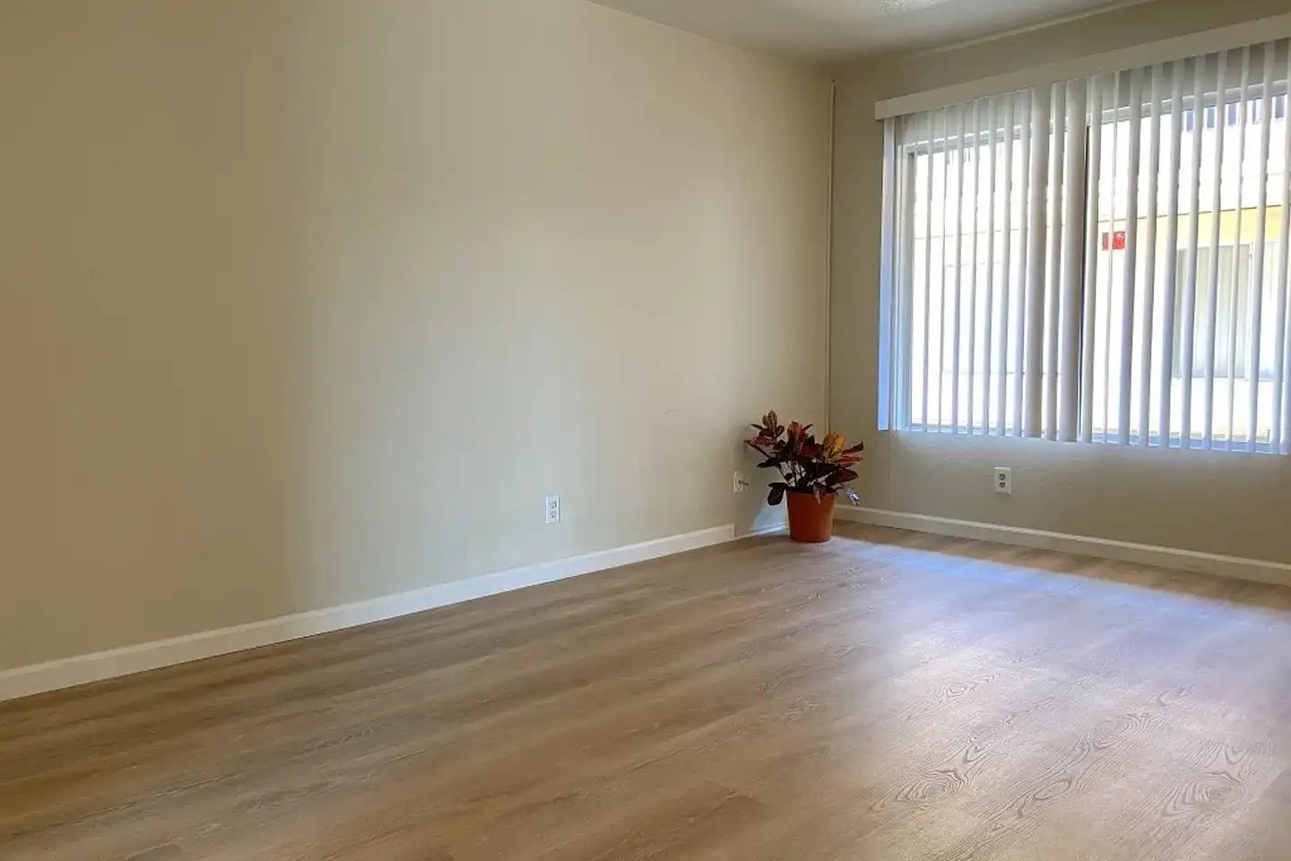 4311 Winona Ave photo 4
