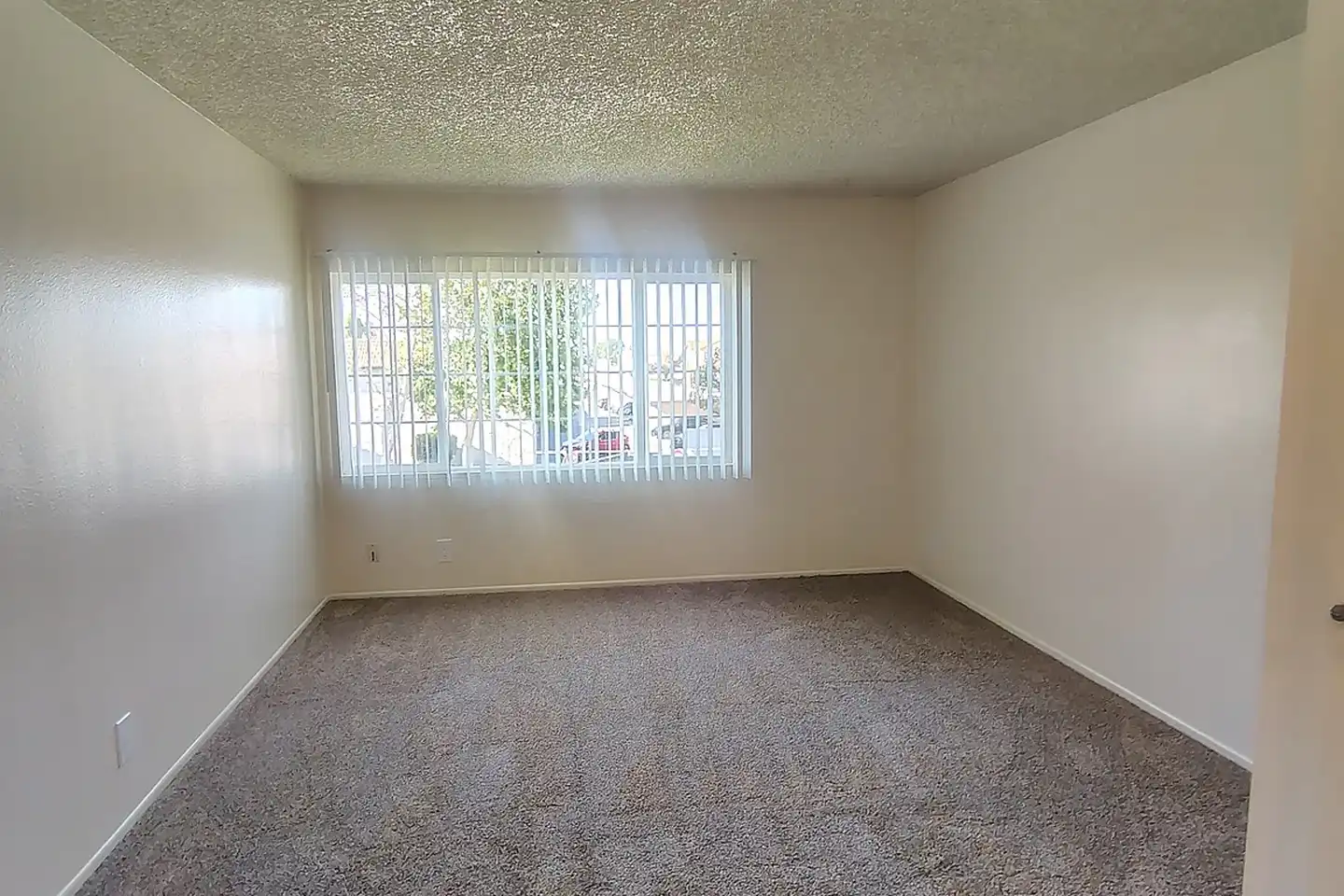 Oxford Terrace Apartments photo 4