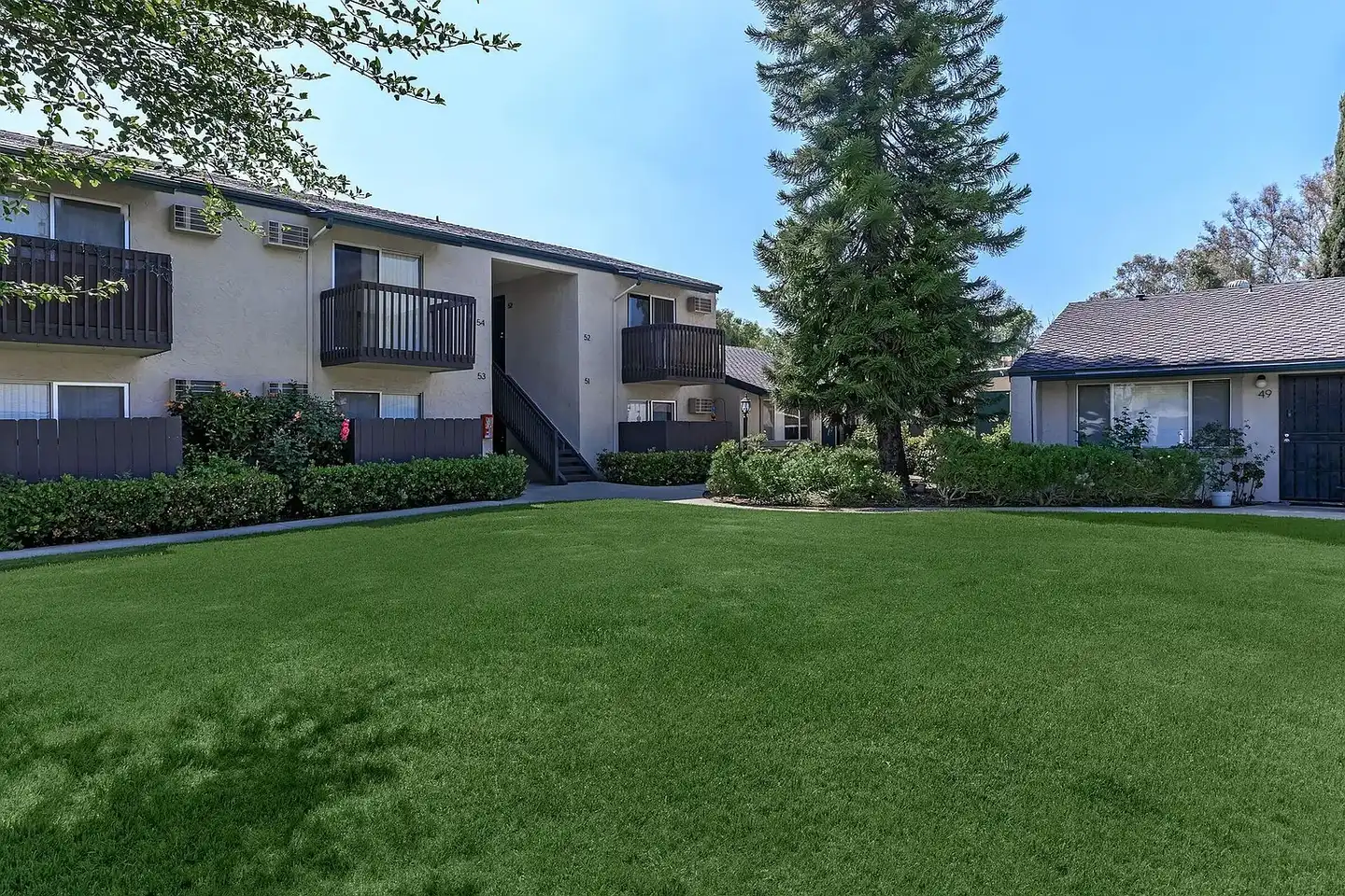 The Pines Apartments photo 5