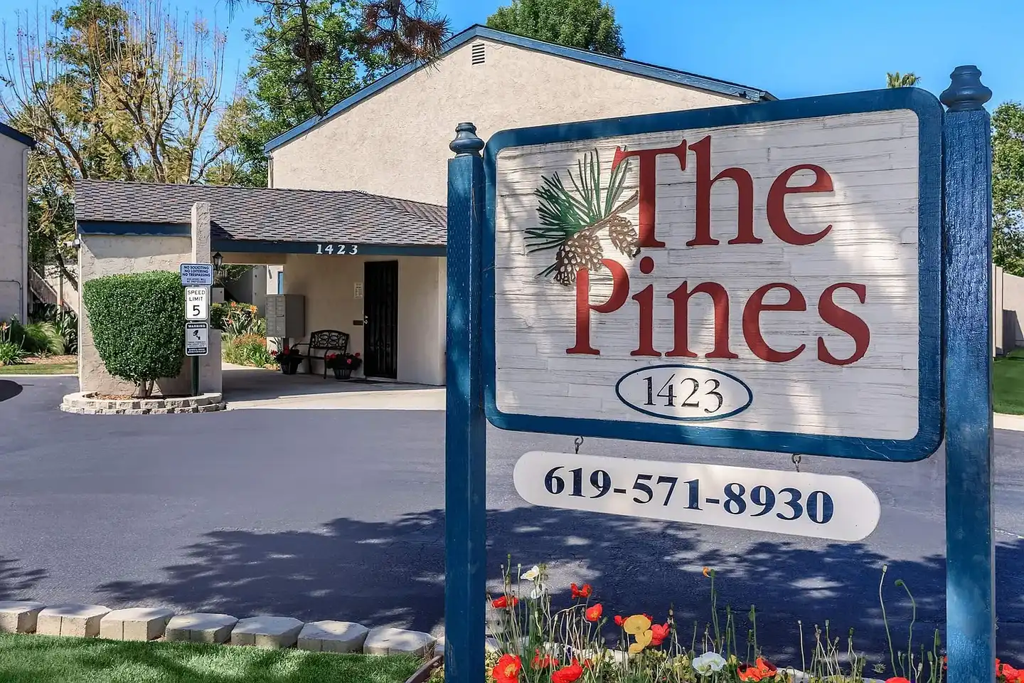 The Pines Apartments photo 3