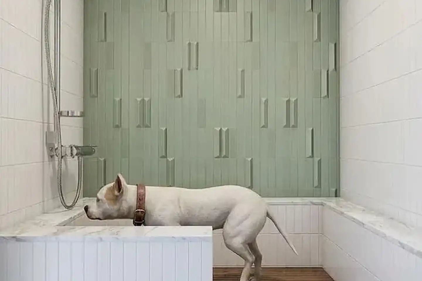 Goldilocks Apartments