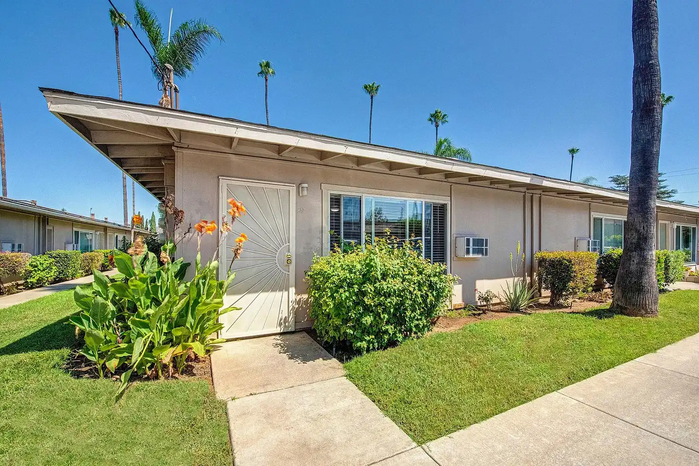 Pacifica Palms Apartments photo 2