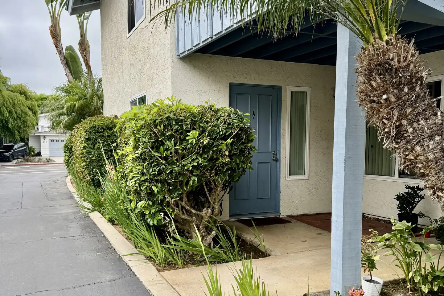 253 Tamarack Ave