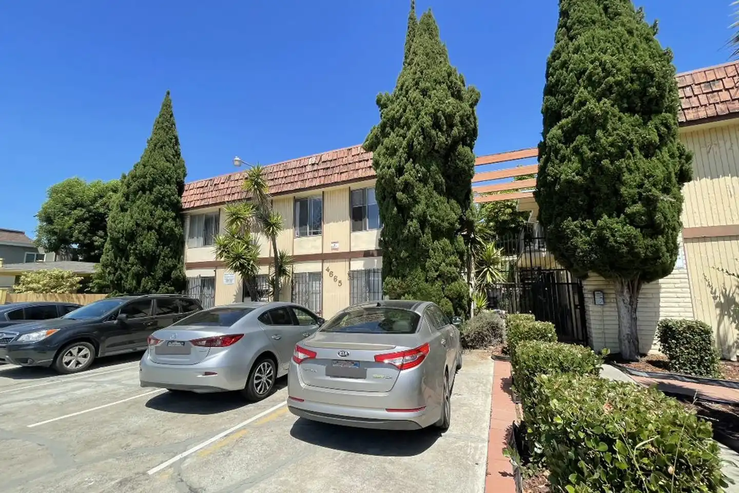 ** Move In Special** Charming And Bright Normal Heights Apartment photo 2