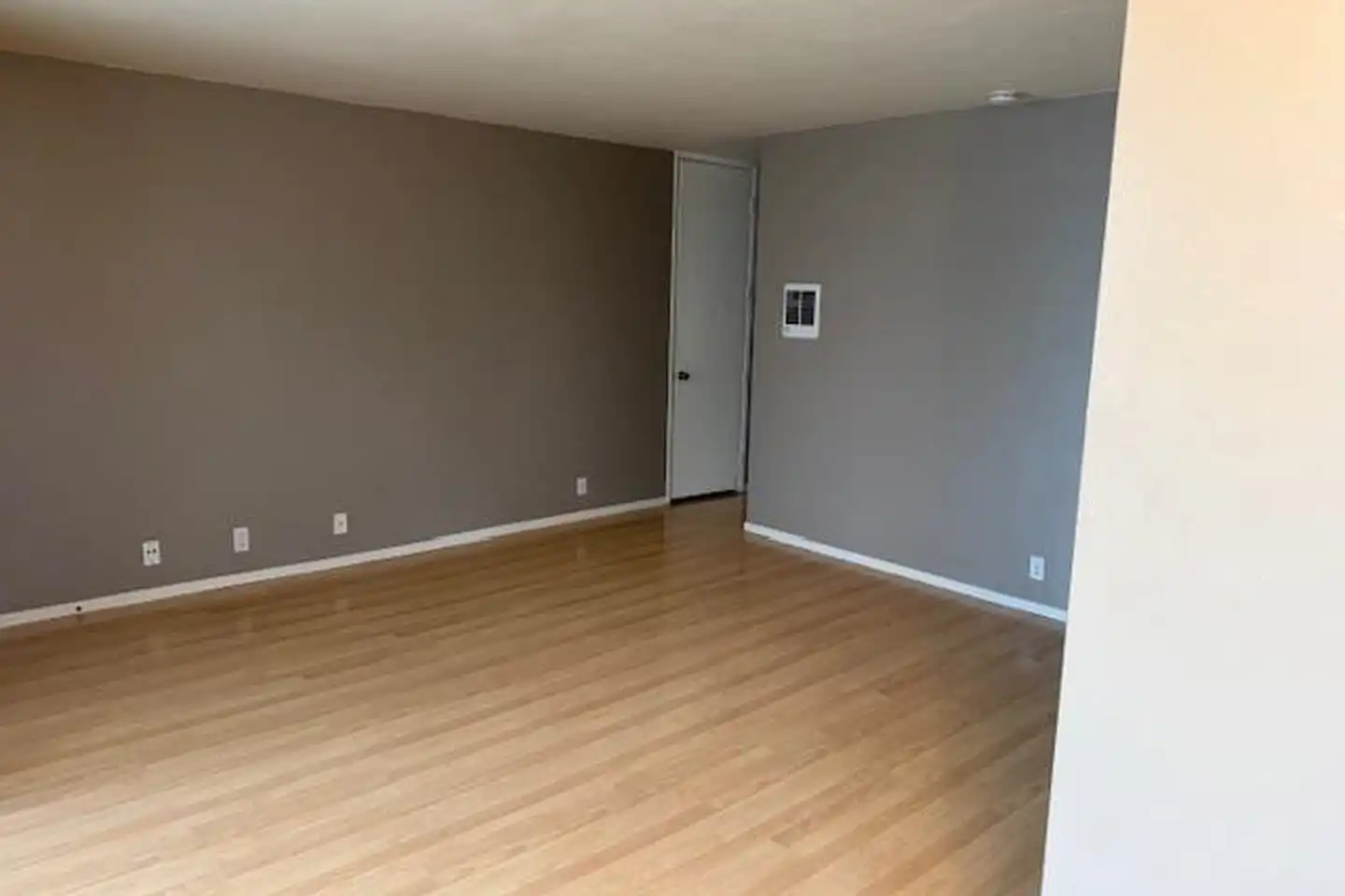 2020 Albatross St unit 3 photo 5