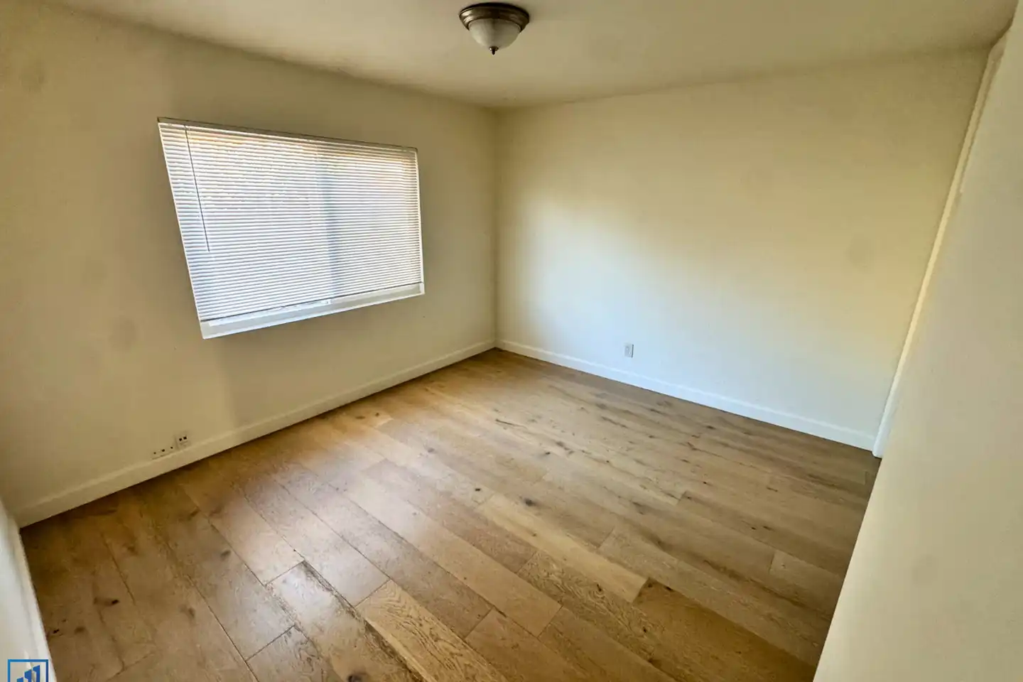 733 Woodlawn Ave unit 733 photo 5