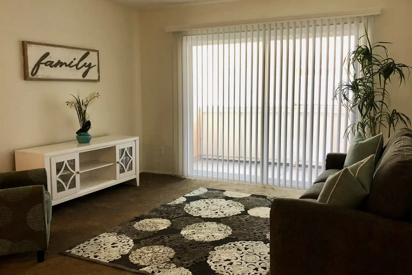 3242 Bonita Rd Chula Vista, CA 91910 photo 3