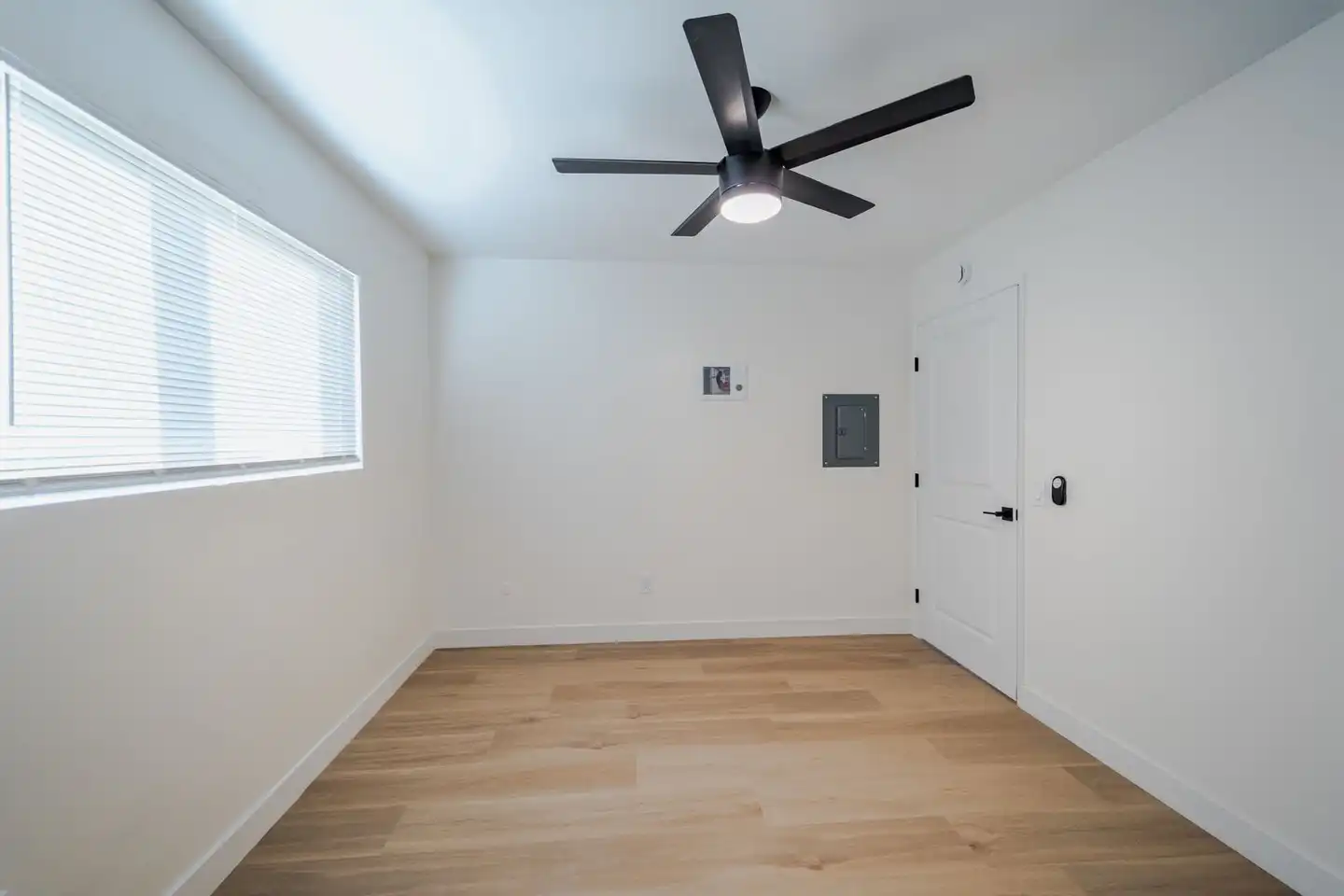 3681 Fairmount Ave photo 3
