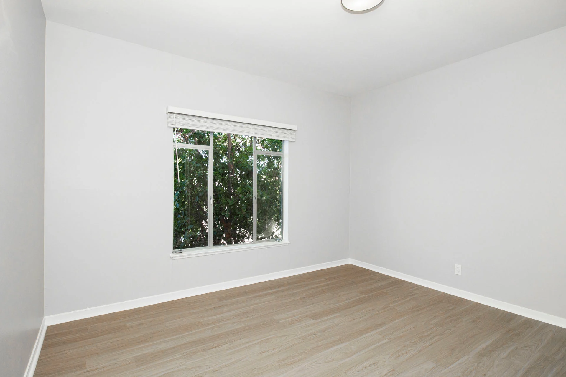 1424 VALENCIA Apartments photo 2