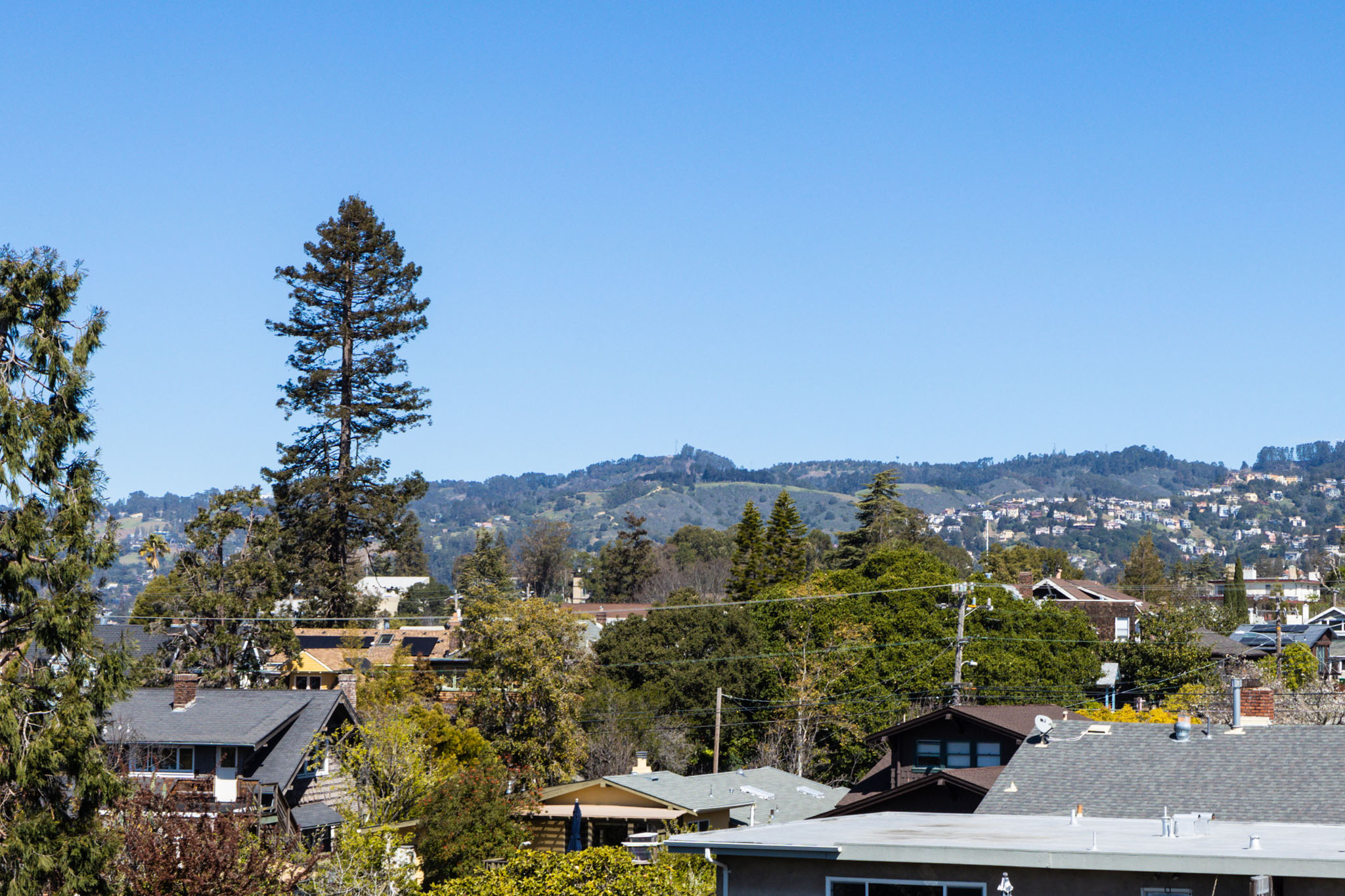 4231 Montgomery photo 5