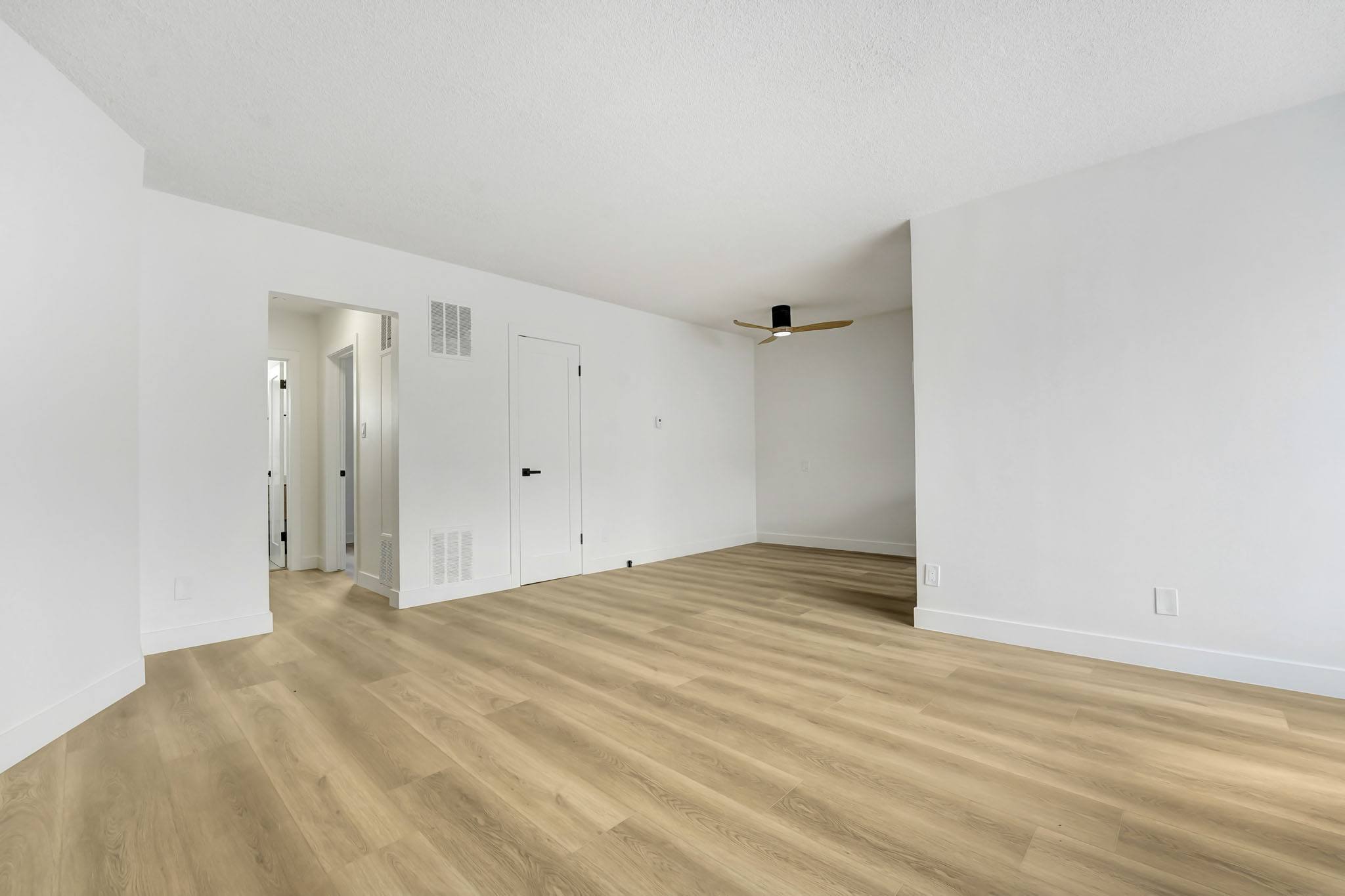 950 Venice photo 4