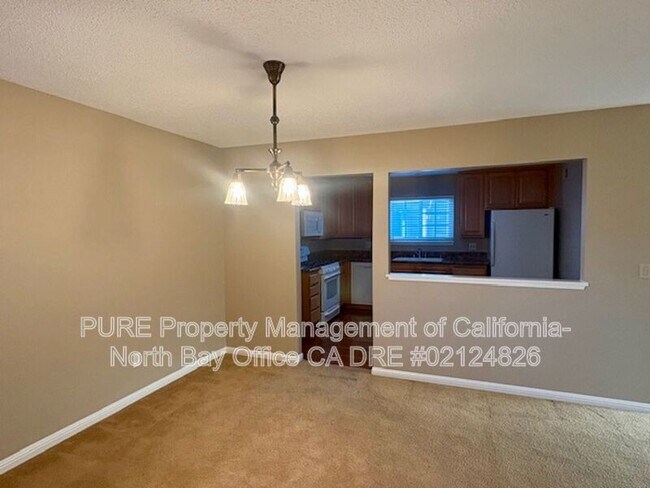 1278 Pacific Ave Petaluma, CA 94954 photo 4