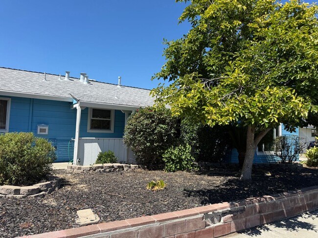 261 Gregory Ln Pleasant Hill, CA 94523 photo 3