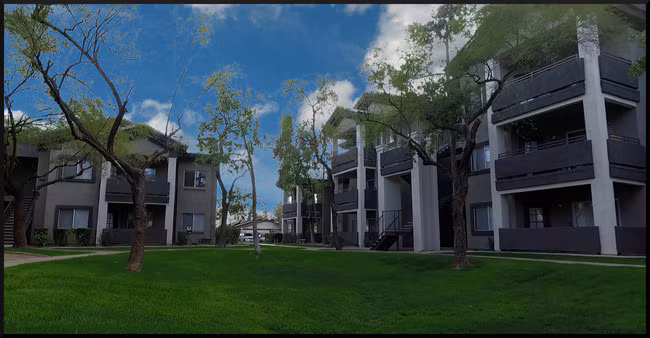 Lindsay Palms photo 3