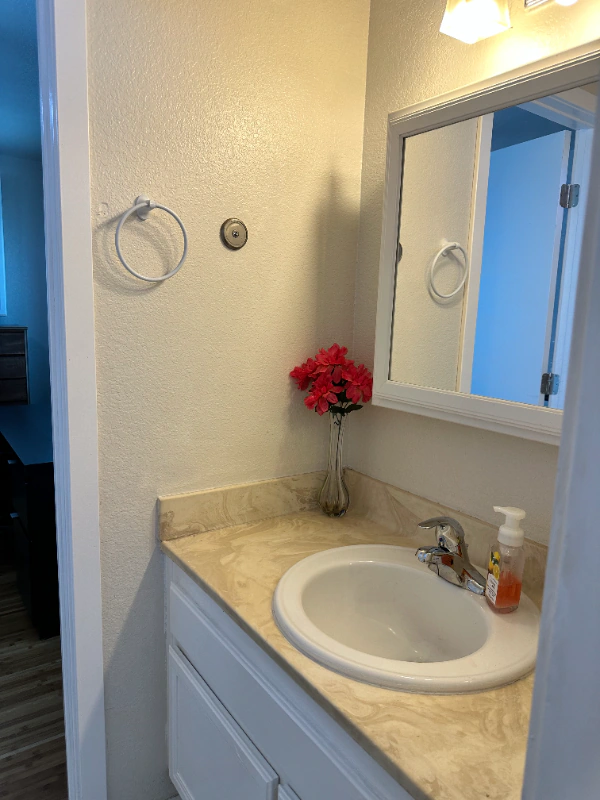 1511 Seabrook Ln San Diego, CA 92139 photo 5