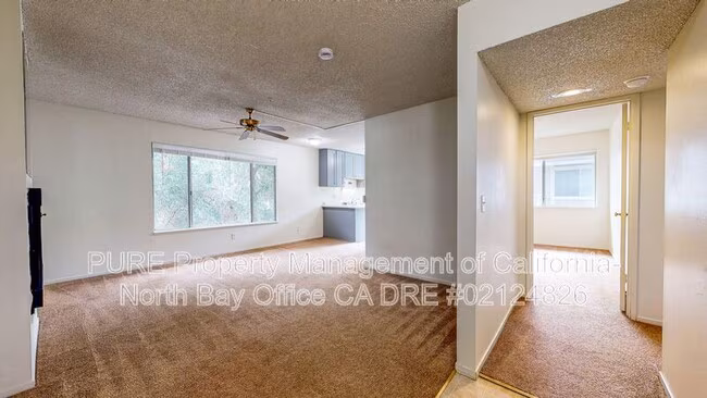 1017 Civic Center Dr Rohnert Park, CA 94928 photo 4