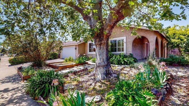 1321 Berrydale Dr Petaluma, CA 94954 photo 4