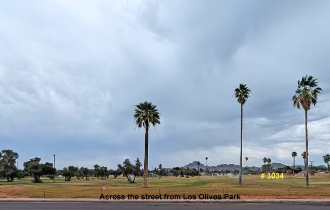3033 E Devonshire Ave Phoenix, AZ 85016 photo 3