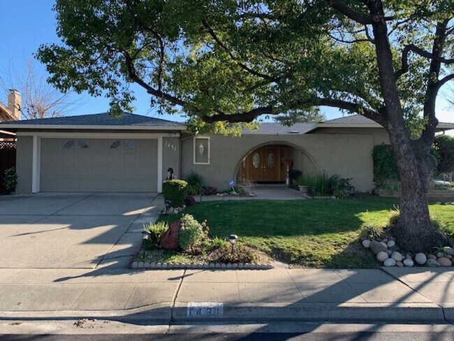 Fully Upgraded Single Family Livermore Home photo 3