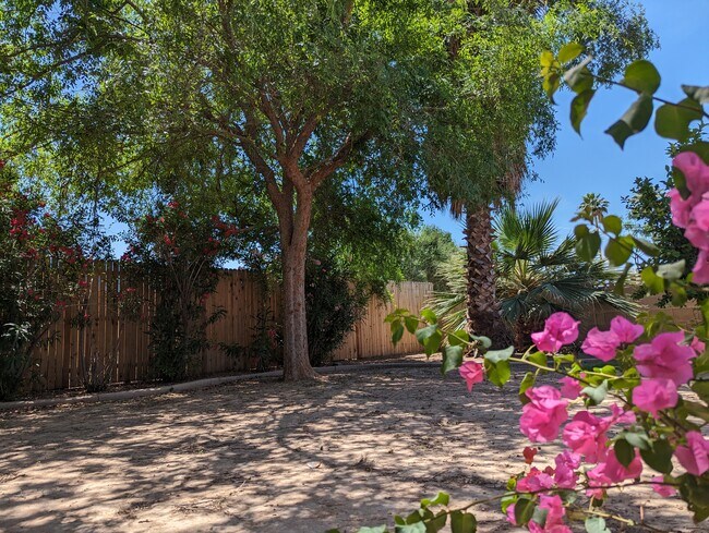 2035 E Cornell Dr Tempe, AZ 85283 photo 5