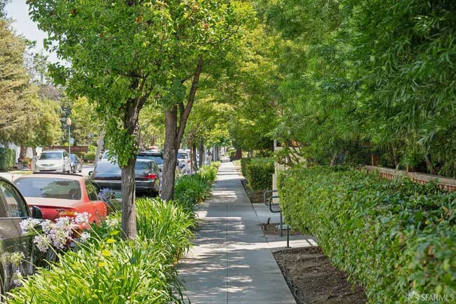 435 Sheridan Ave Palo Alto, CA 94306 photo 5