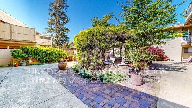 1135 Grand Ave San Rafael, CA 94901 photo 2