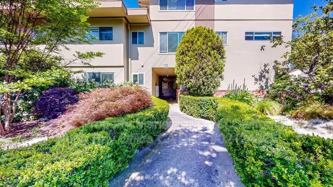1135 Grand Ave San Rafael, CA 94901 photo 4