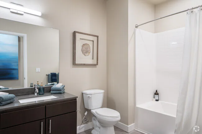 Anchor 532 Luxury Apartments photo 3